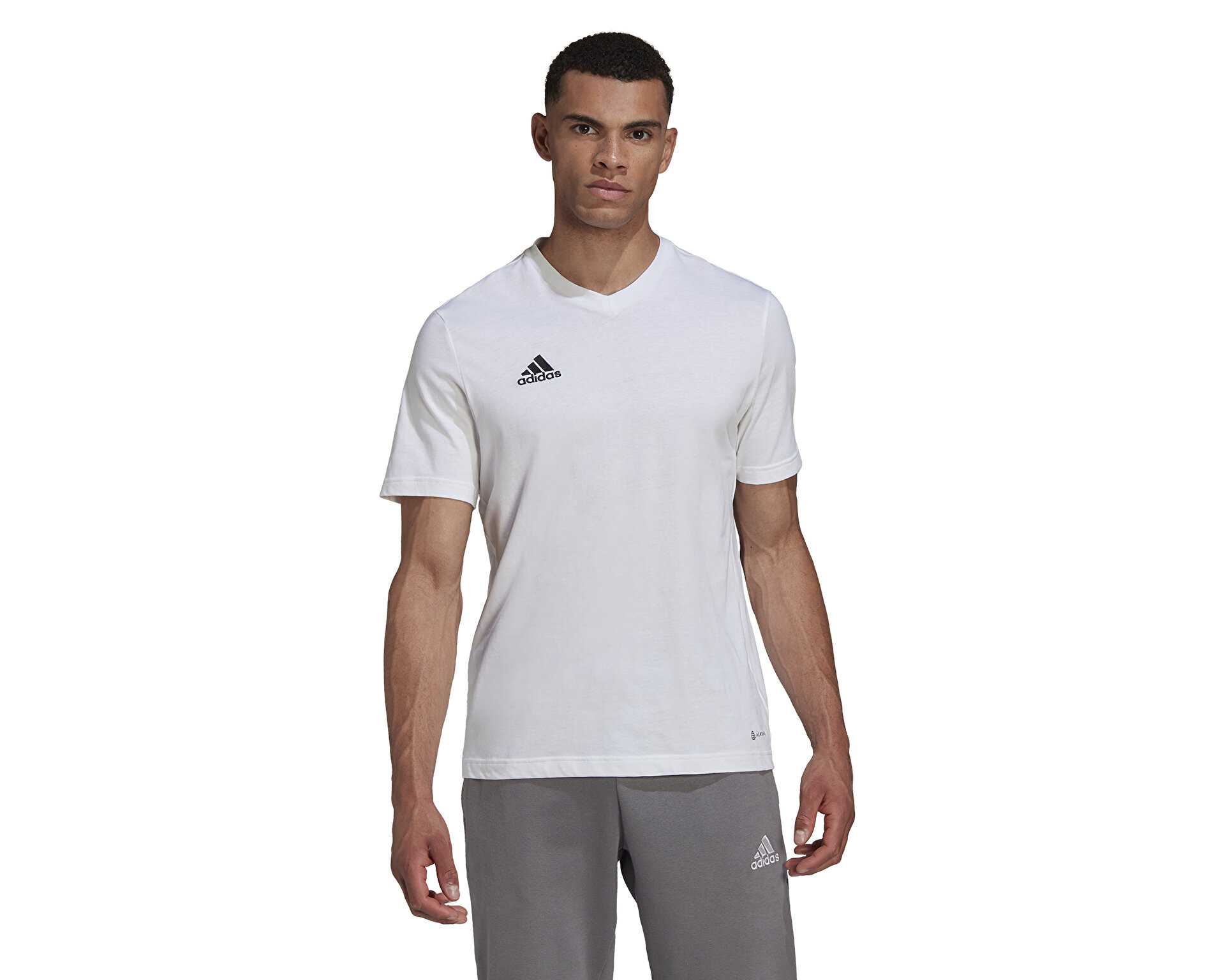 تیشرت آموزشی Ent22 Tee