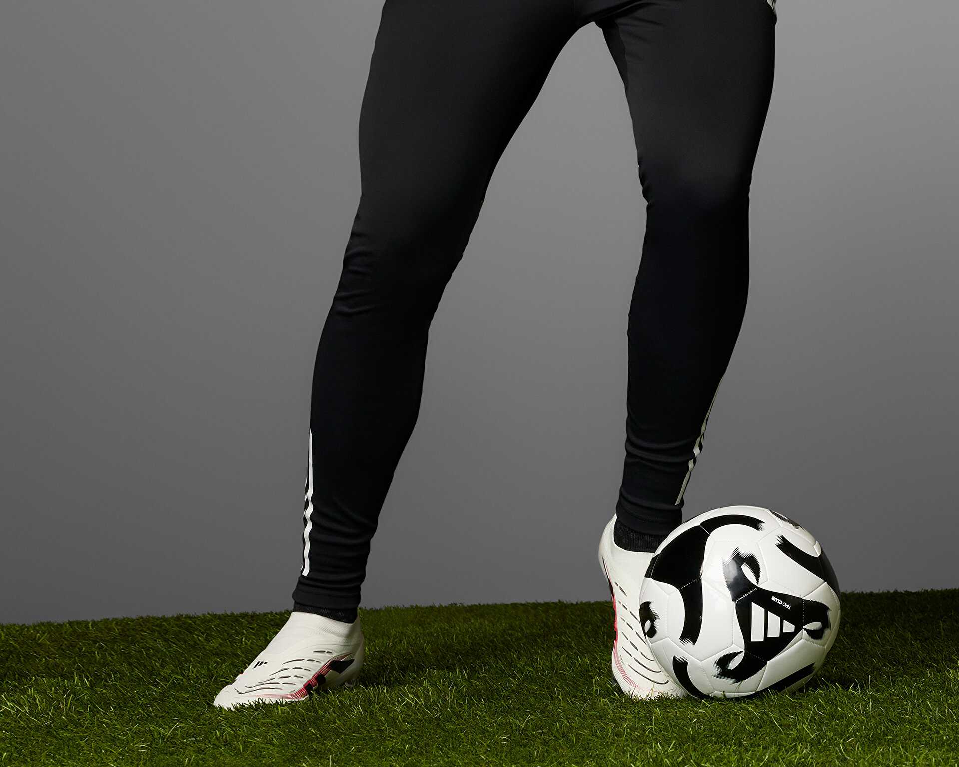 کفش فوتبال چمن Predator Elite Ll Fg