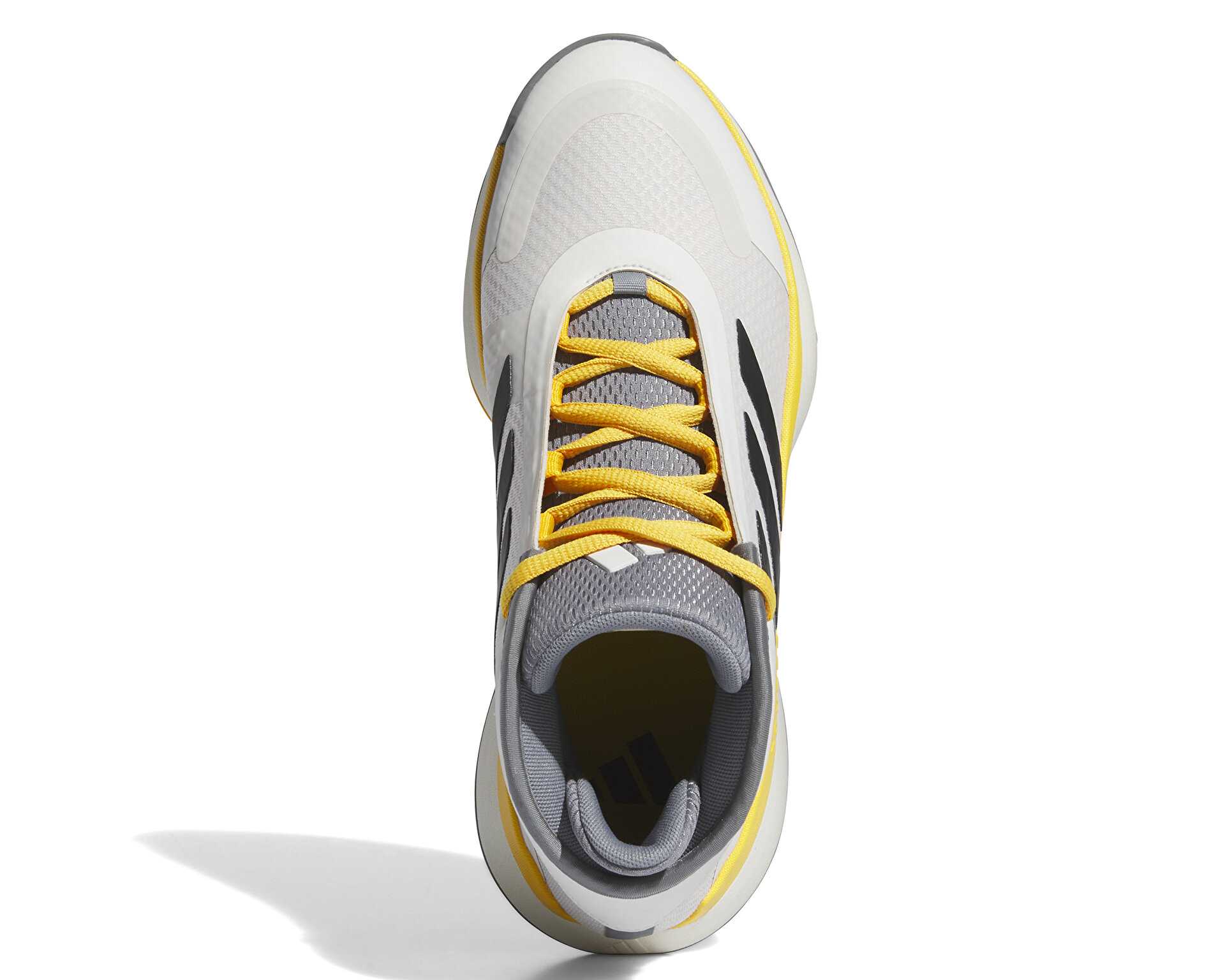 کفش های بسکتبال Bounce Legends