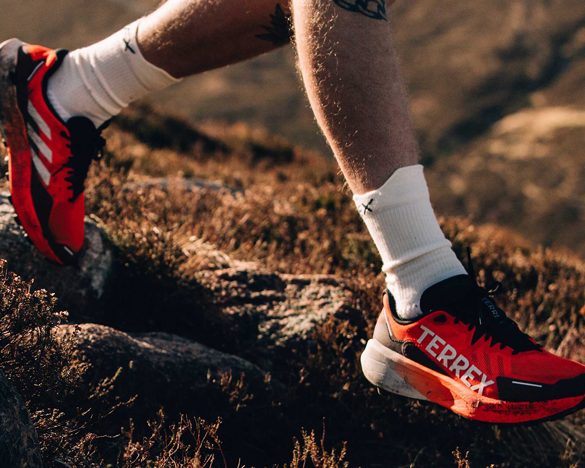 کفش های دویدن در تمام زمین Adidas Terrex Agravic 3 W