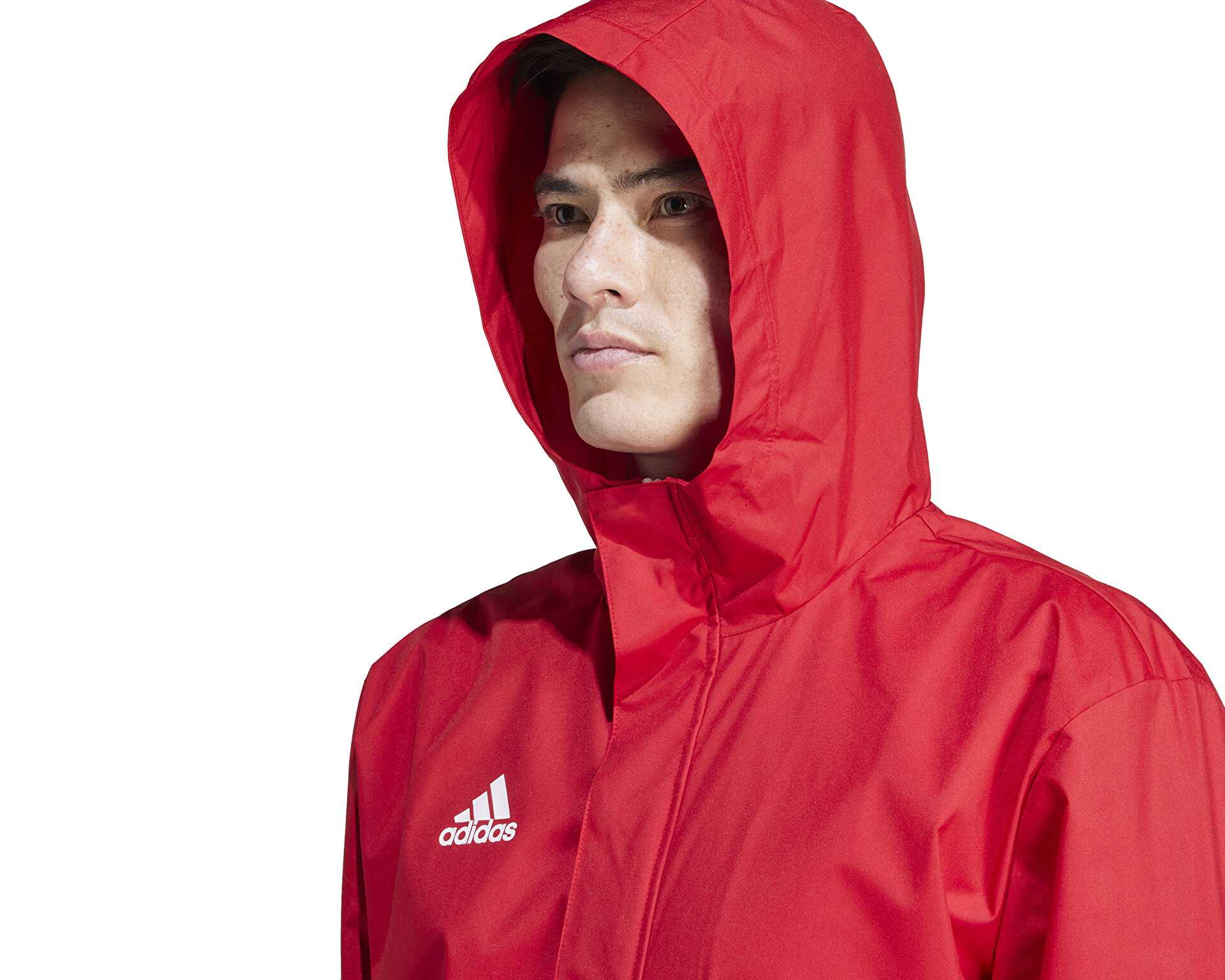 کت تمرینی فوتبال Adidas Ent22 Aw Jkt
