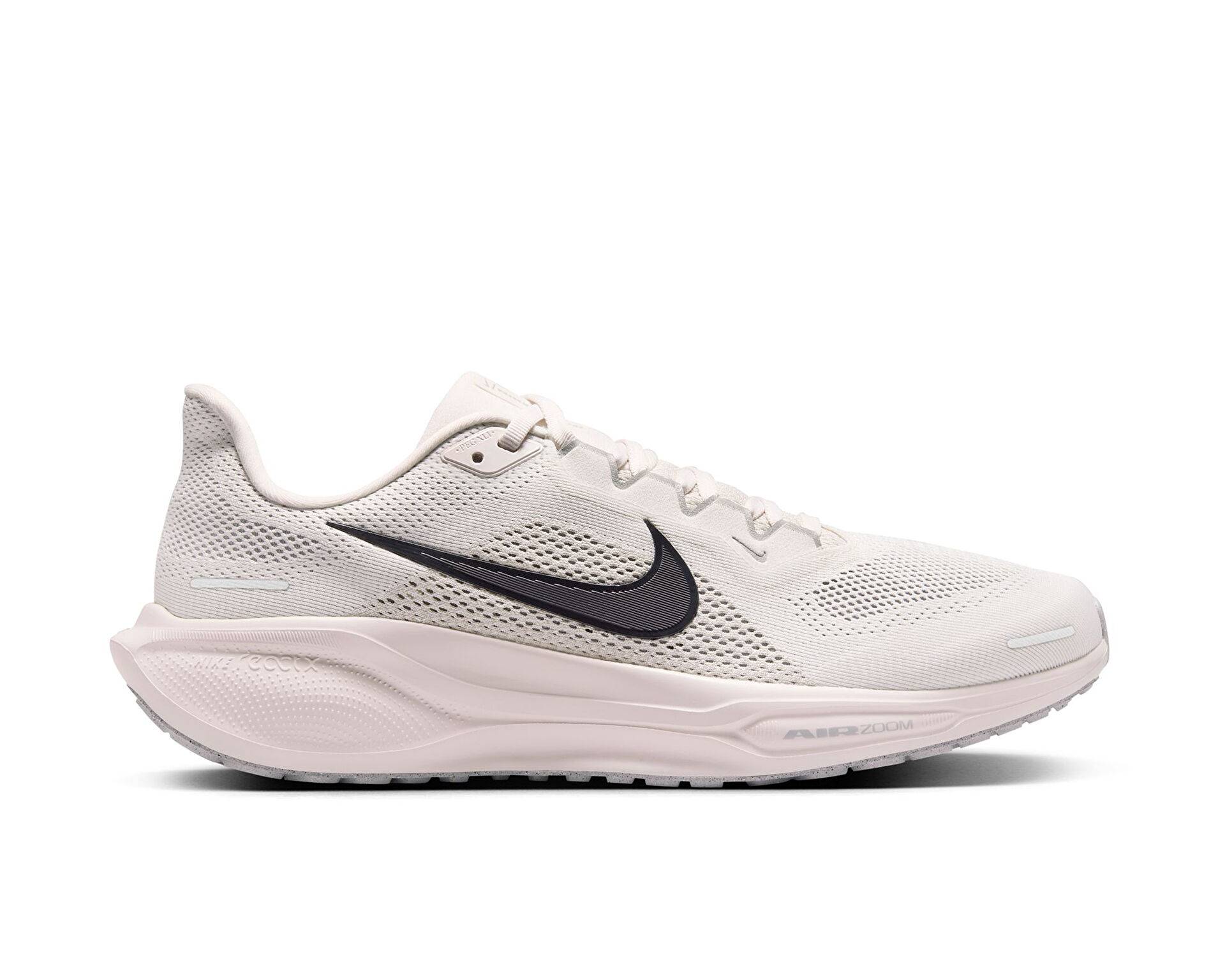 کفش دویدن Nike Pegasus 41 Gore-Tex