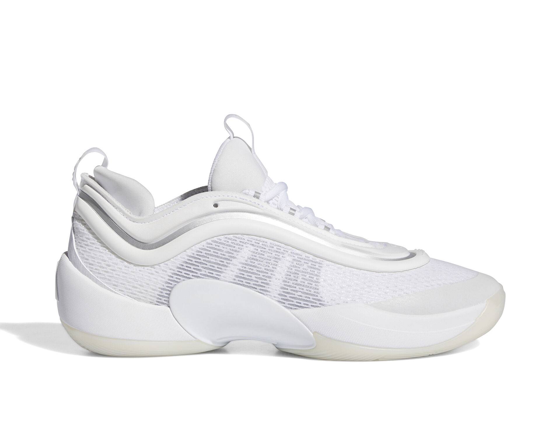کفش های بسکتبال Adidas D.O.N. Issue 6