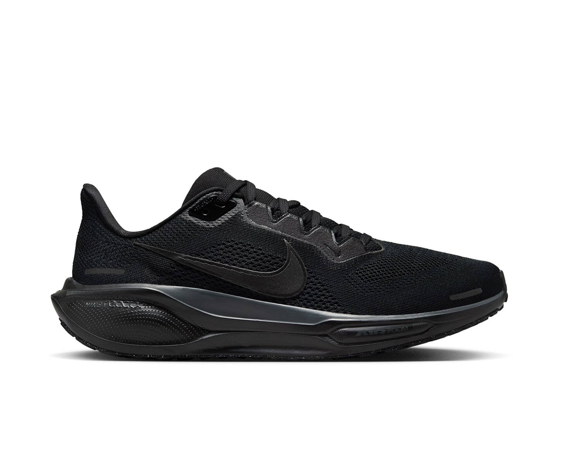 کفش دویدن Nike Pegasus 41 Gore-Tex