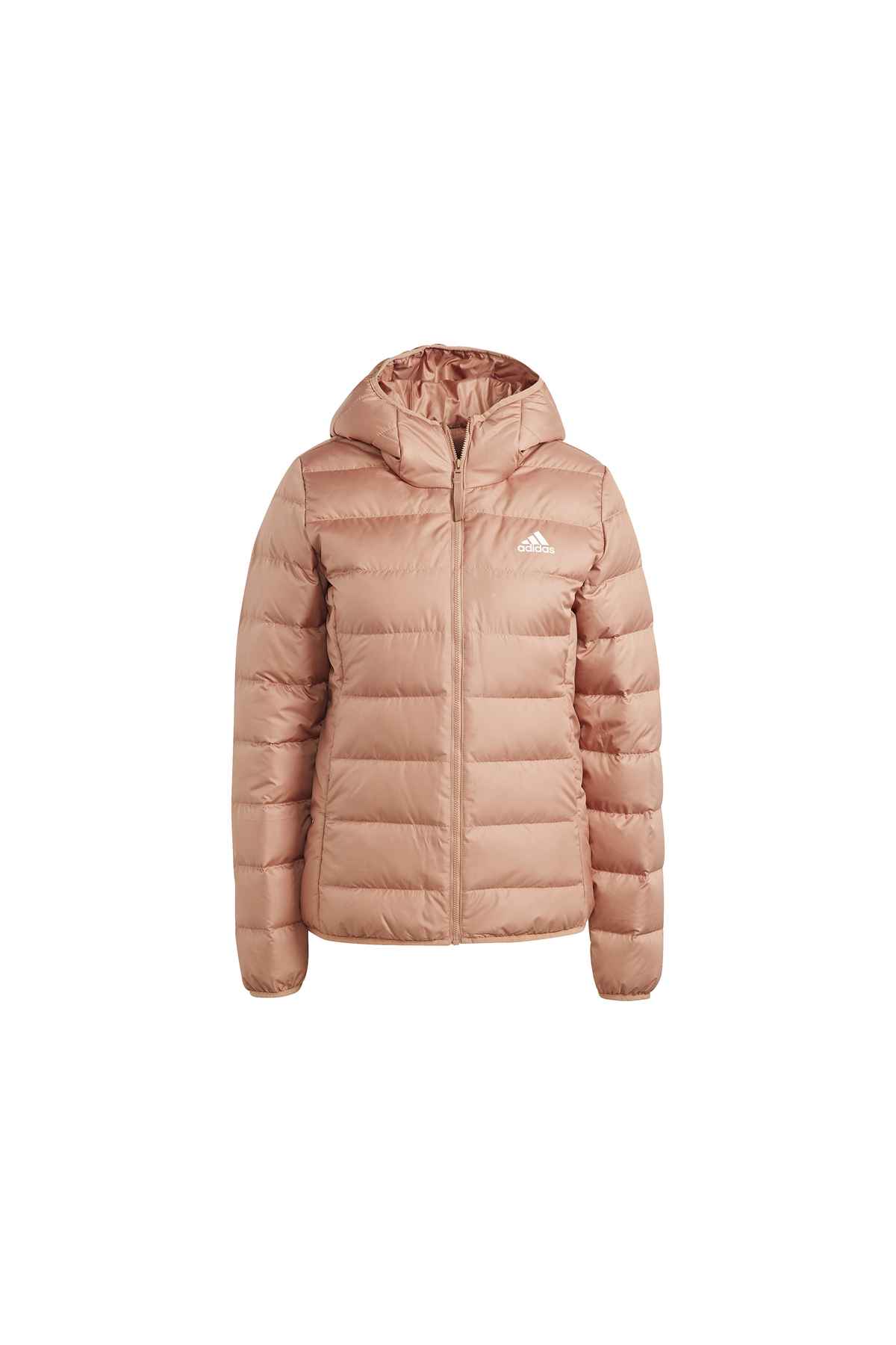 کت کوتاه وگان زنانه Jkt روزانه وگان IJ8235 Claret Red