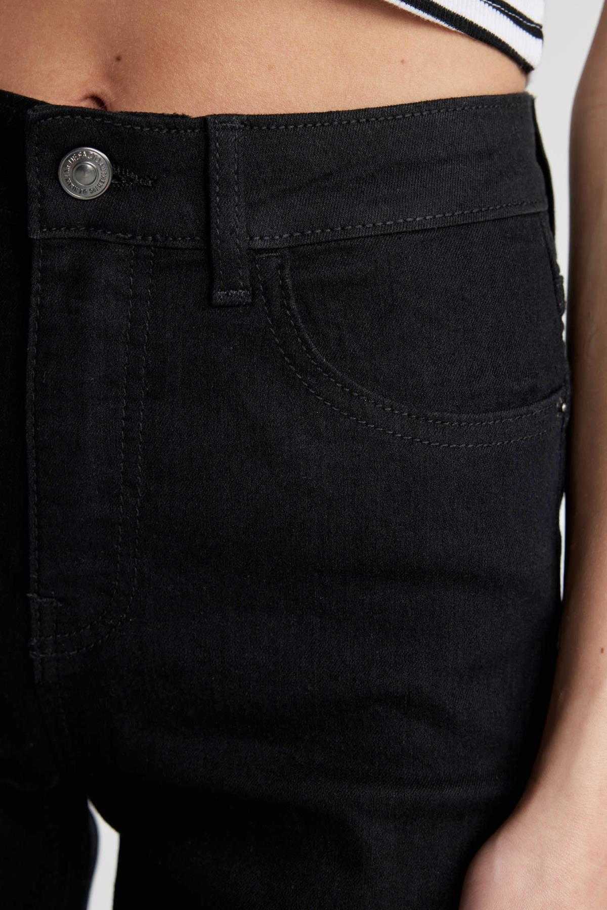 ساق کمر معمولی ژان برمودا