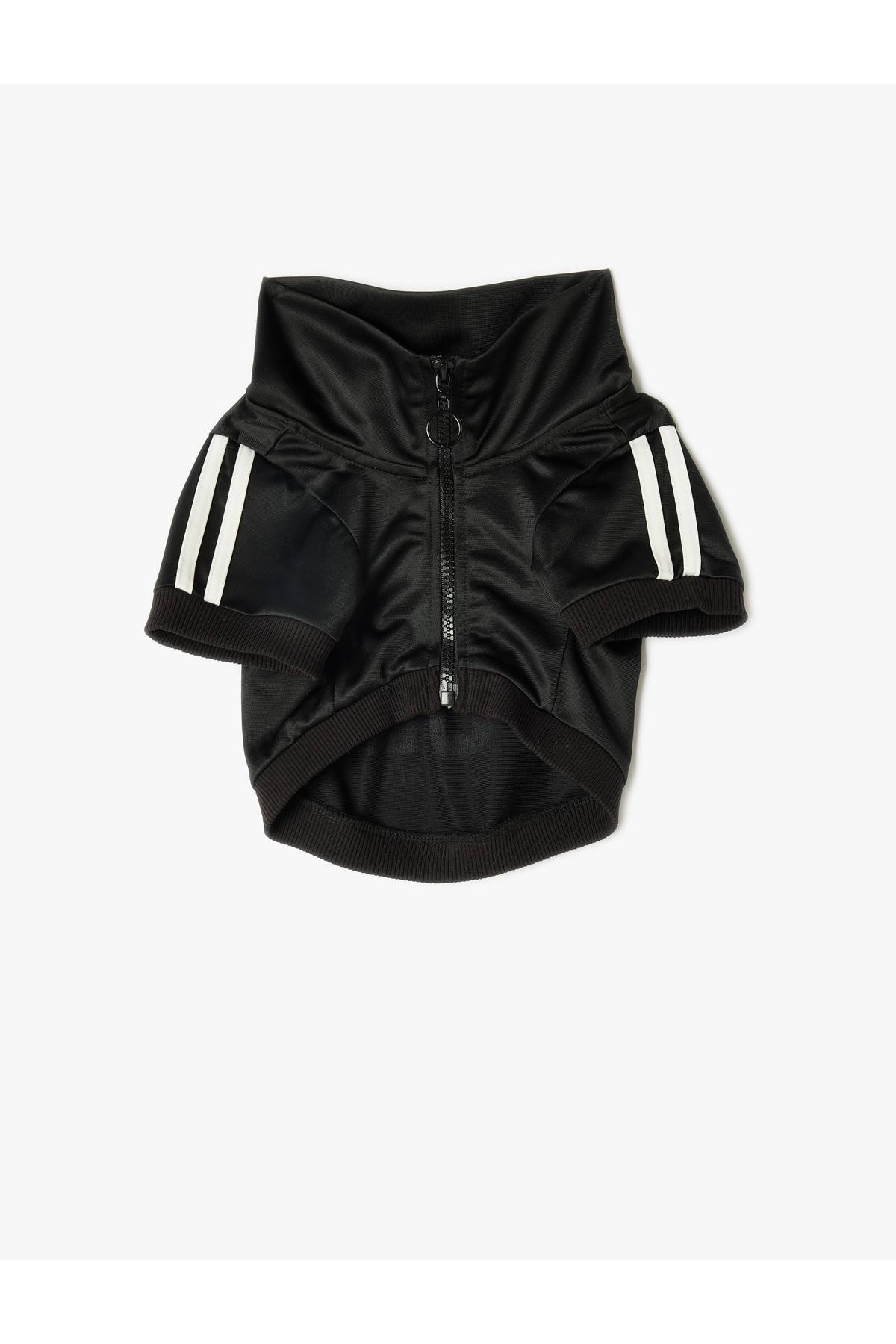 زیپ لوله یقه یقه ی سویشرت سگ