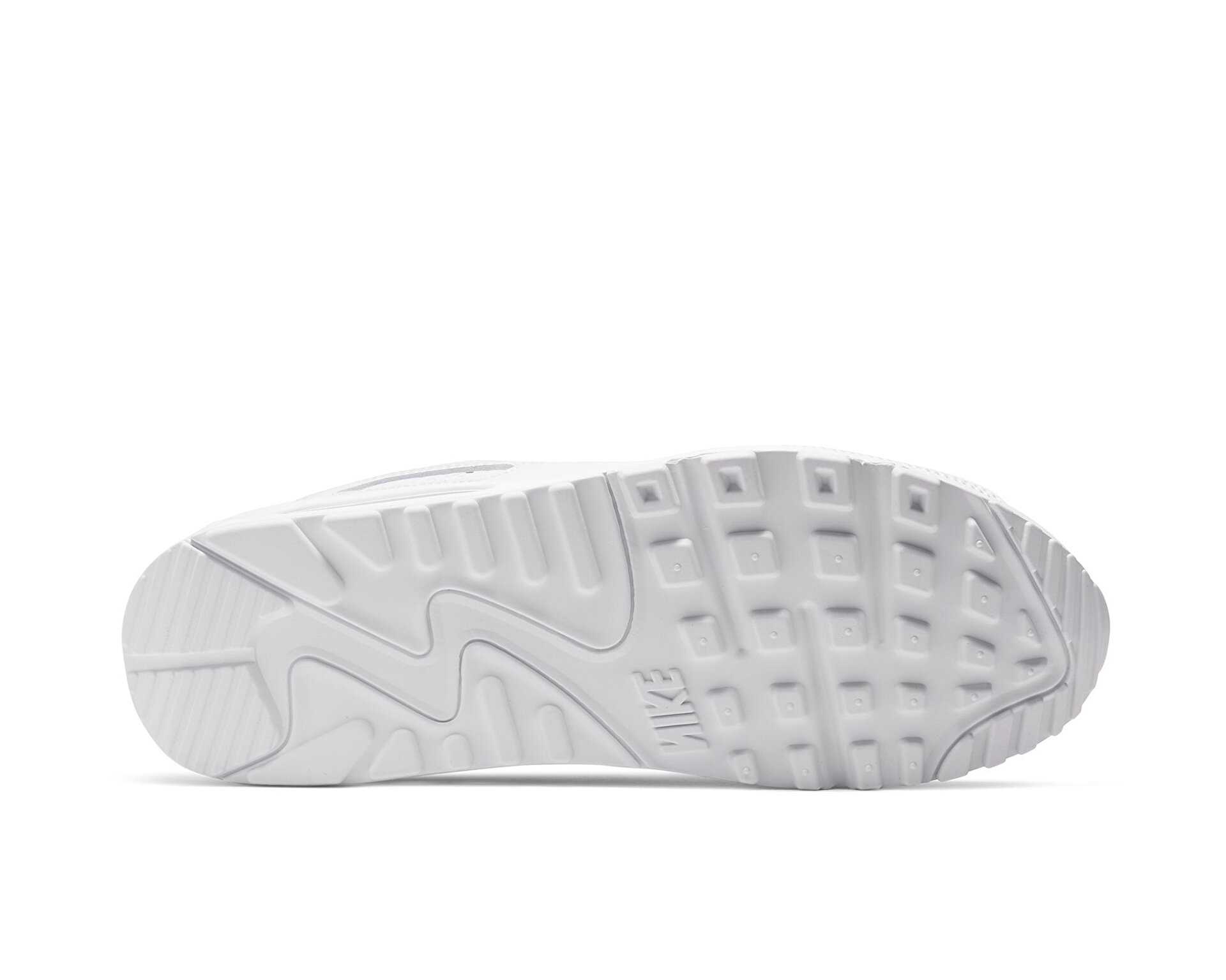 کفش های روزانه W Air Max 90 Prm