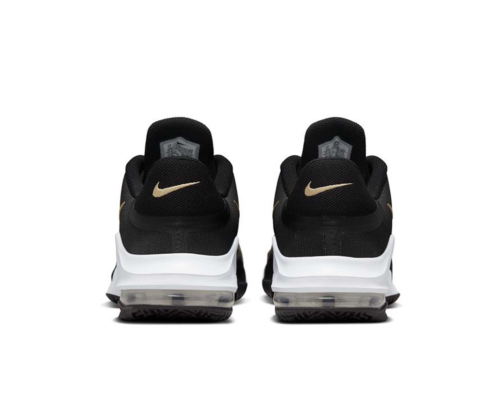 کفش های بسکتبال Air Max Impact 4