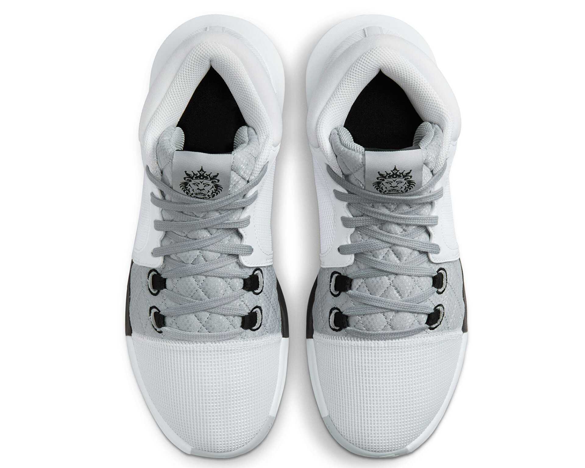 کفش های بسکتبال Lebron Witness 8