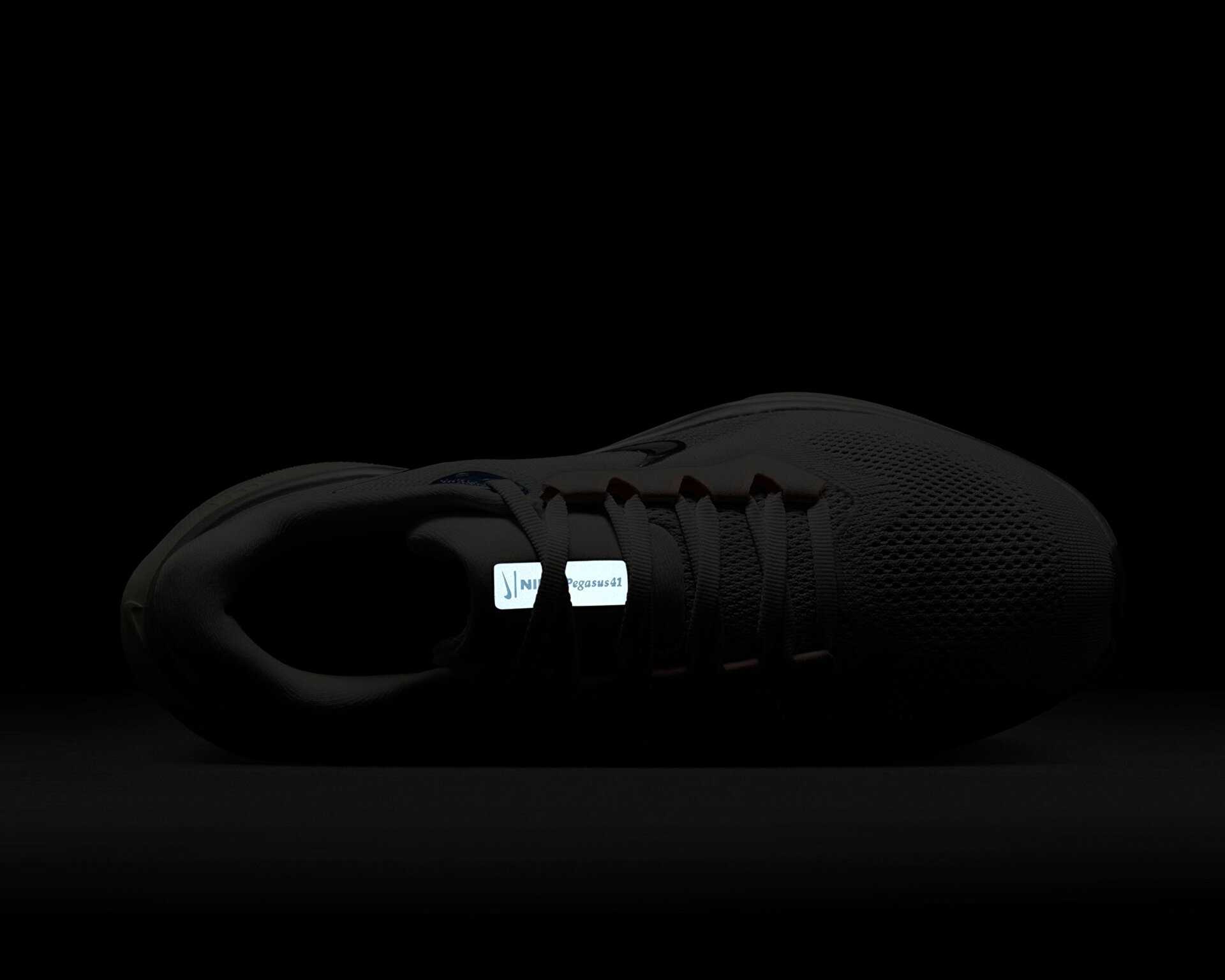 کفش دویدن Nike Pegasus 41