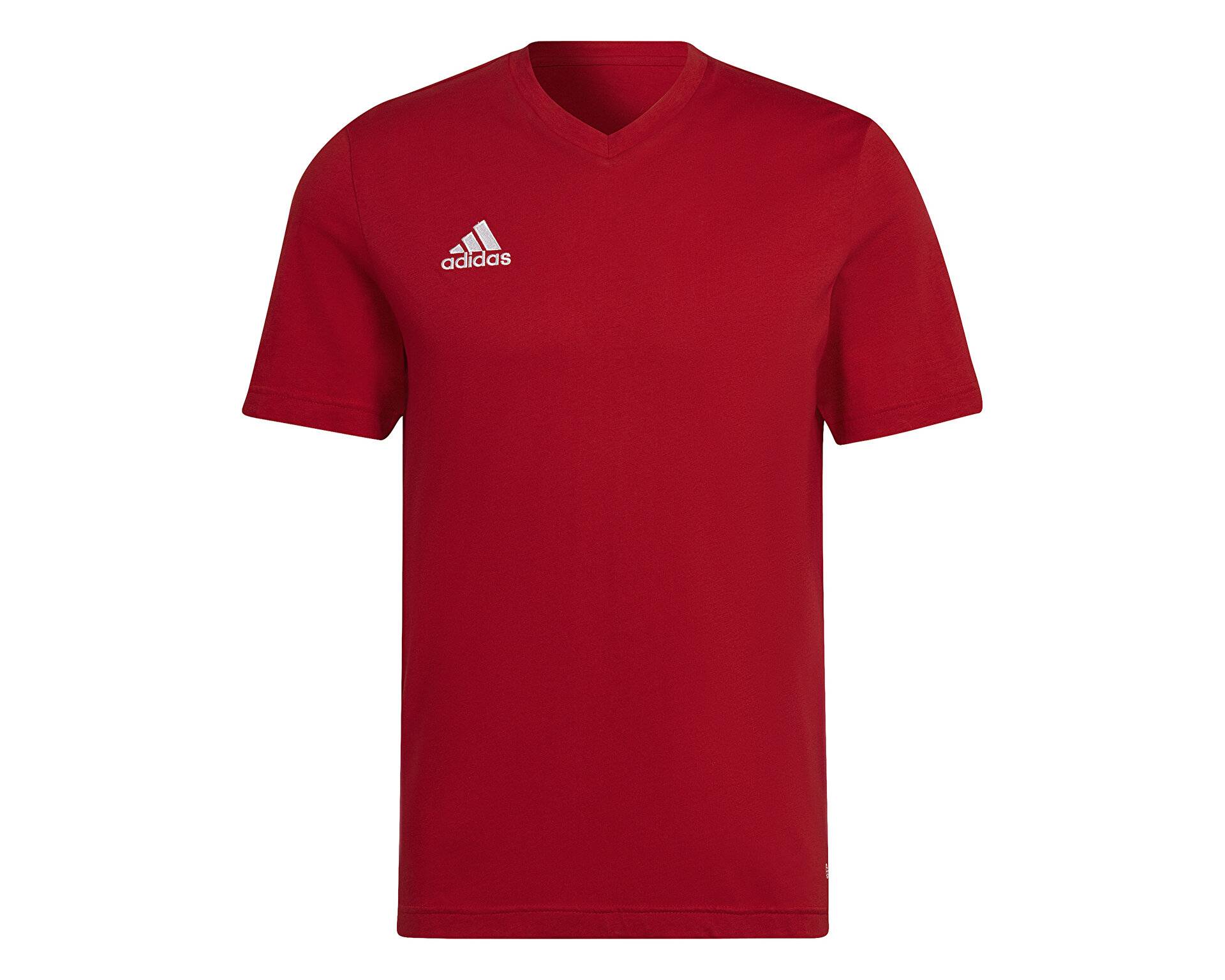 تیشرت آموزشی Ent22 Tee