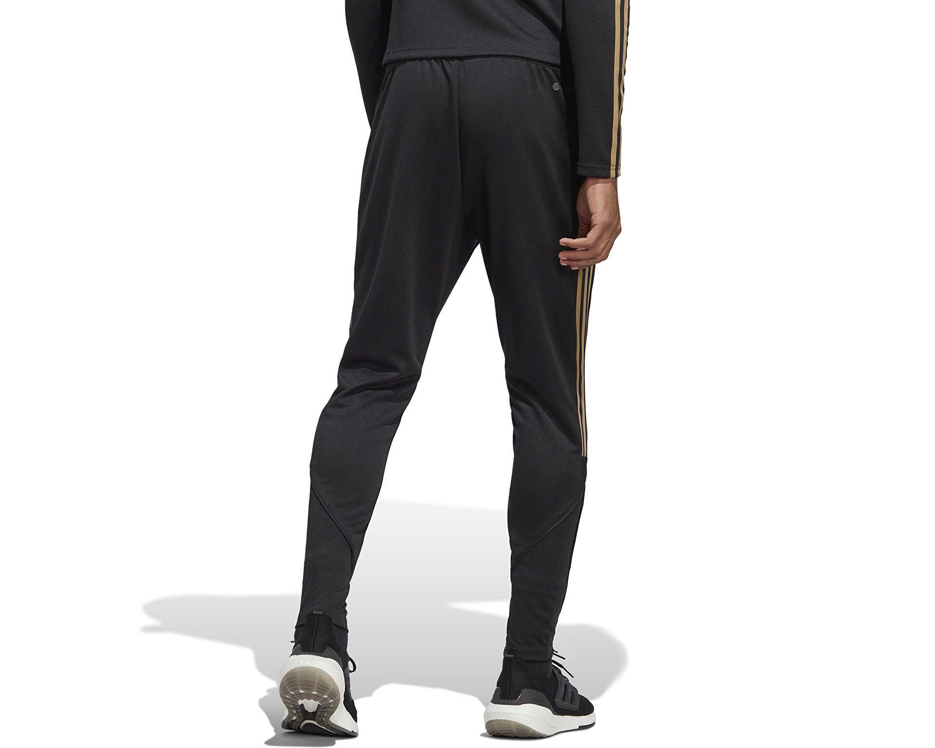 شلوار تمرینی فوتبال Tiro23 Pnt Ref