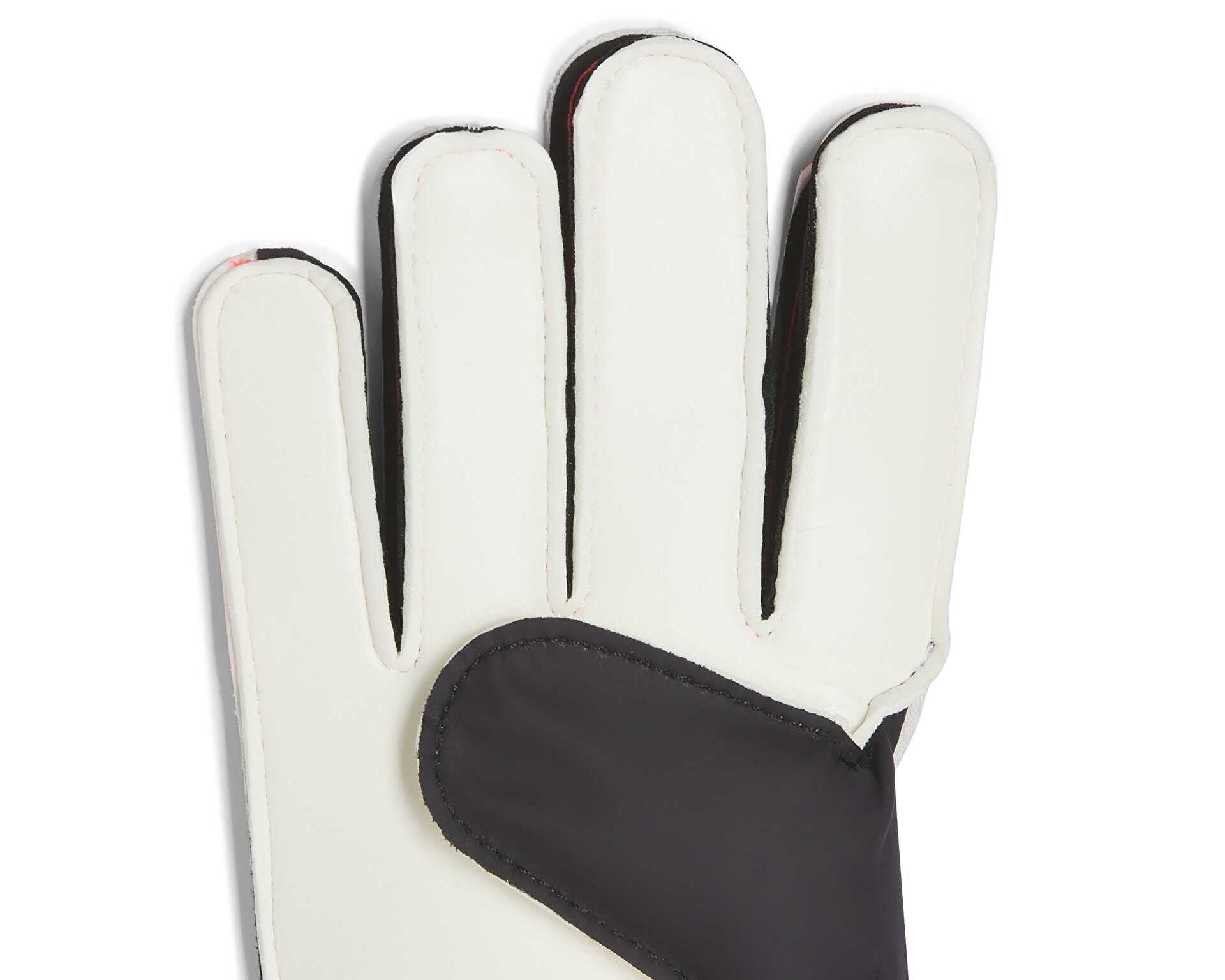 دستکش دروازه بان Pred Gl Trn