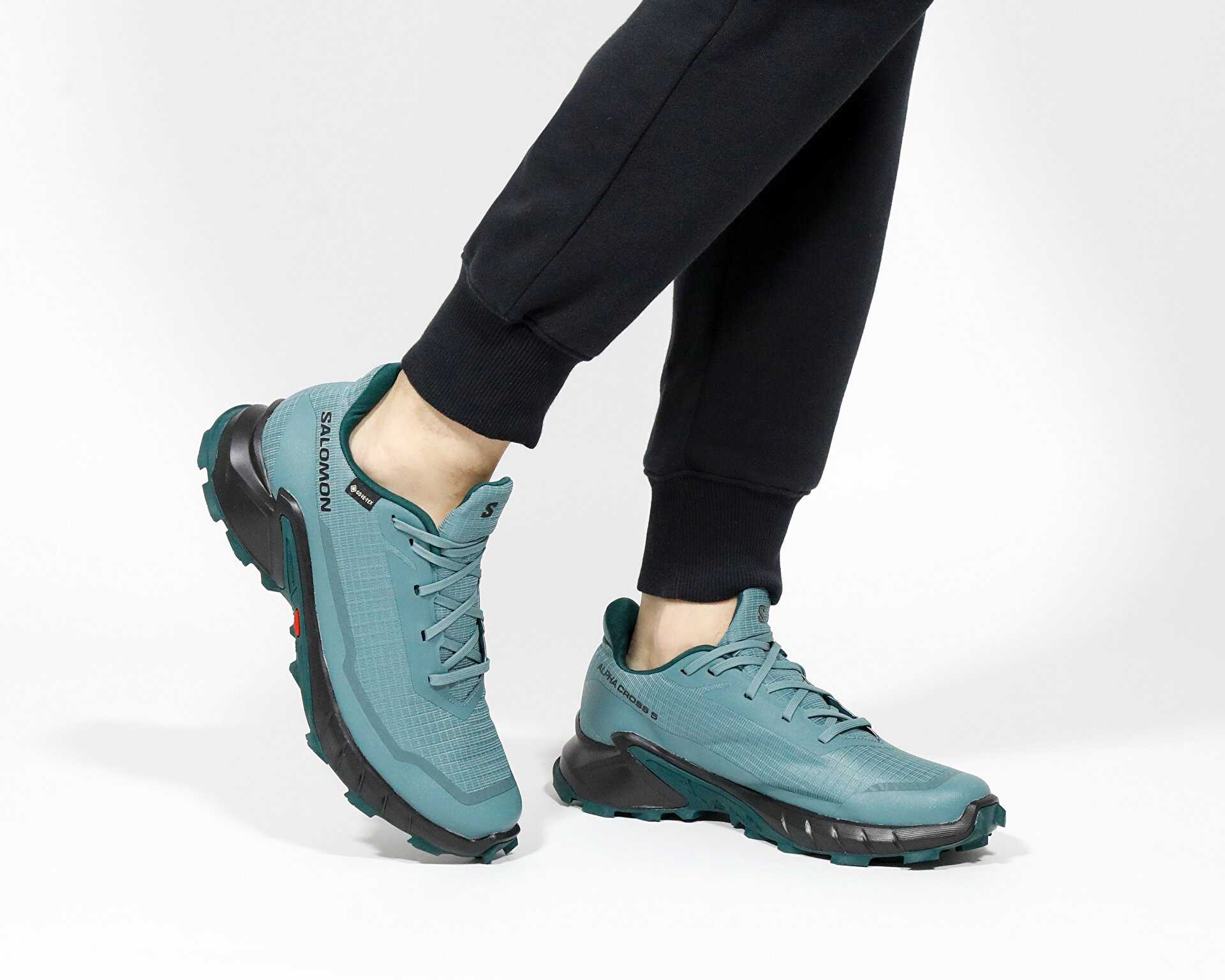 کفش دویدن Alphacross 5 Gtx W